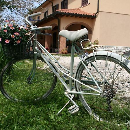 Agriturismo Diciocco Venturina Terme Extérieur photo