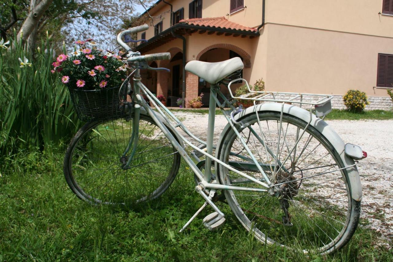 Agriturismo Diciocco Venturina Terme Extérieur photo