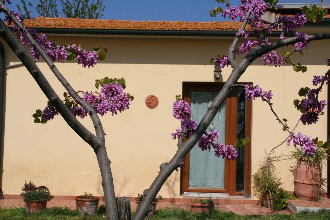 Agriturismo Diciocco Venturina Terme Extérieur photo