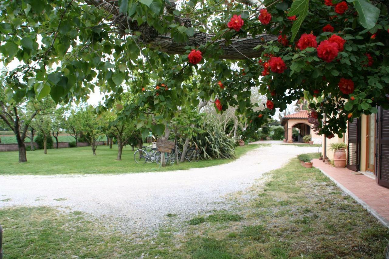 Agriturismo Diciocco Venturina Terme Extérieur photo